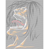 Japanese anime-JP 1311